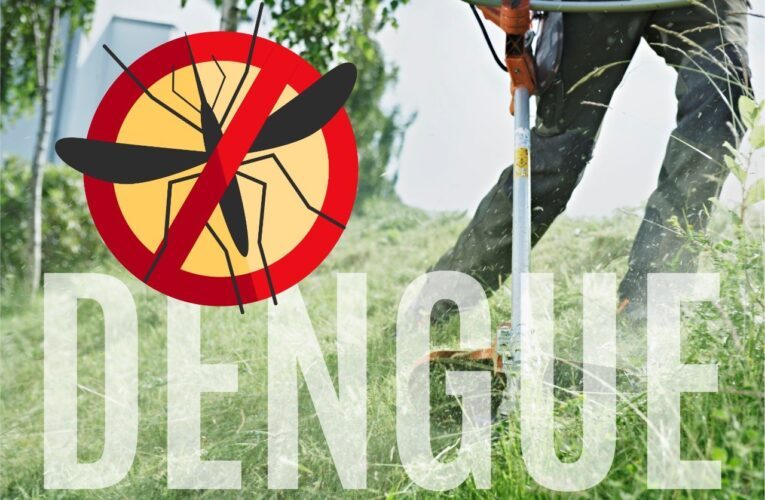 Confirmados mais 11 casos de dengue em Bauru