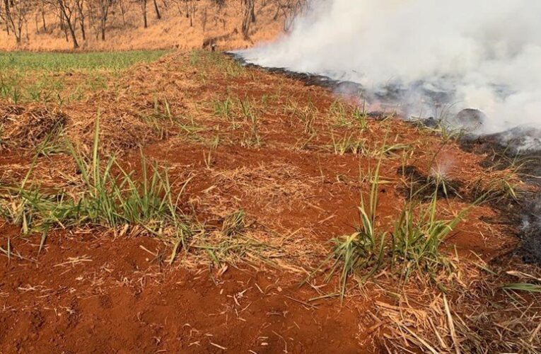 Secretaria de Agricultura disponibiliza podcast com orientações para evitar queimadas