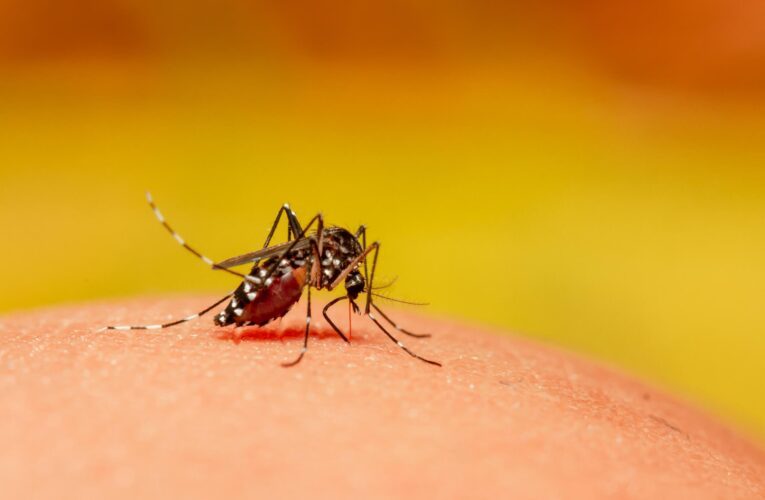 Com mais 47 casos confirmados, Saúde inicia nebulização para combater o mosquito da dengue