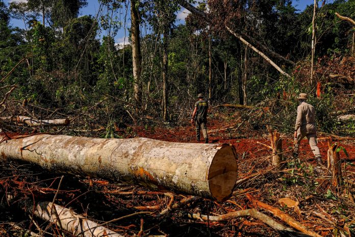 Área da Amazônia sob alerta é recorde no mês de outubro