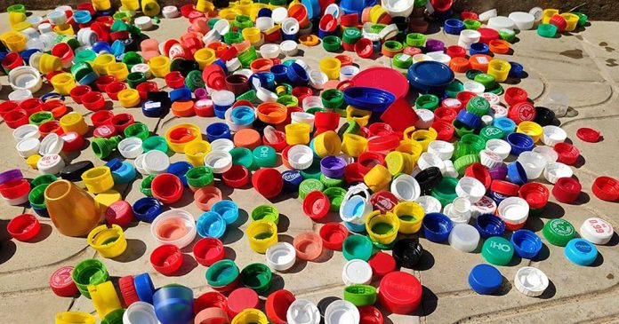 Com reciclagem de tampinhas, Eco Patinhas já castrou 160 animais