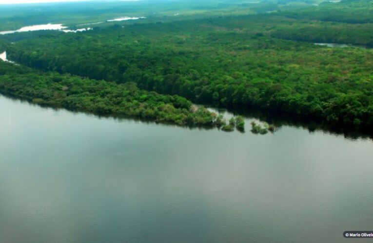 Apenas 7% dos rios da Mata Atlântica apresentam água de boa qualidade