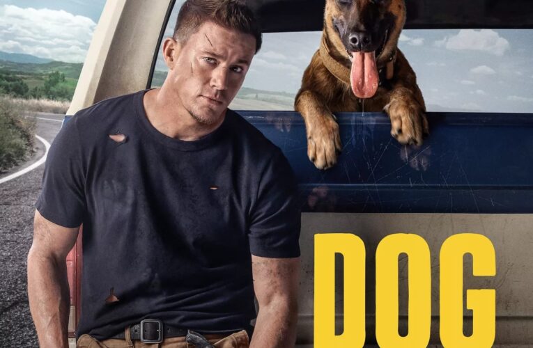 Poster do F=filme "Dog: A Aventura de uma Vida"