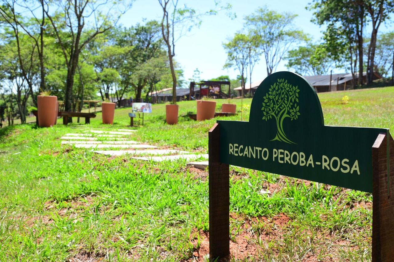 Jardim Botânico desenvolve visitação em 360 graus para oferecer lazer na  pandemia em Bauru, Bauru e Marília