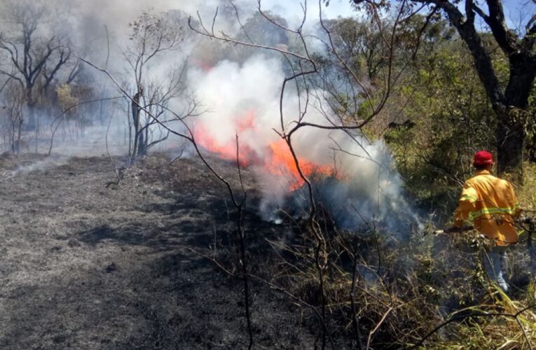 ‘Bauru em emergência e alerta’: Defesa Civil aponta para risco de incêndio em todo o estado de SP