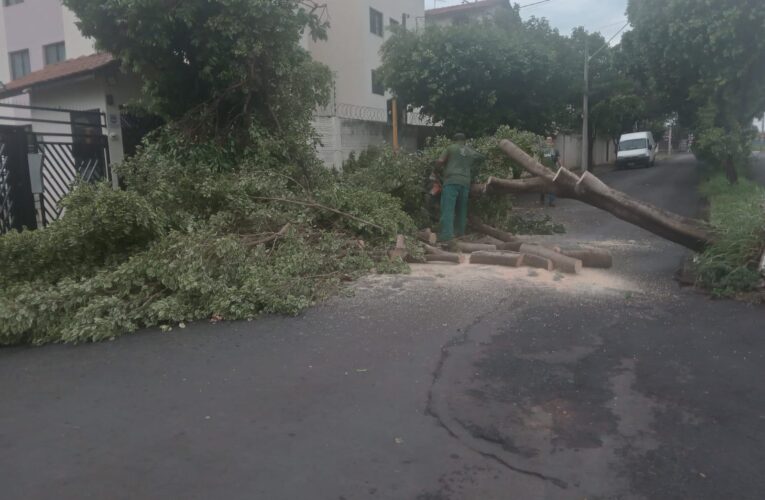 Após tempestades, bairros seguem sem energia elétrica, vias estão interditadas e trabalhos de recuperação continuam