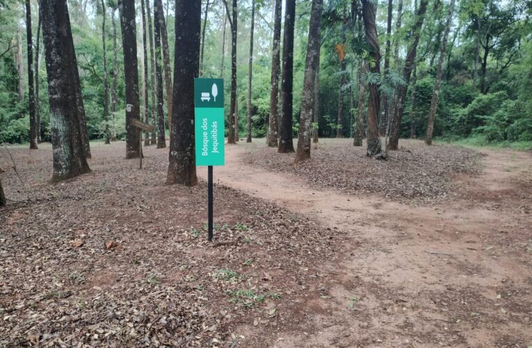 Horto Florestal abre Centro Ambiental e trilhas para caminhada neste sábado