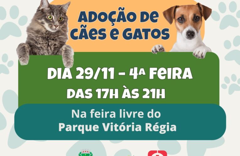 Evento de adoção de cães e gatos será na feira do Vitória Régia nesta quarta (29)