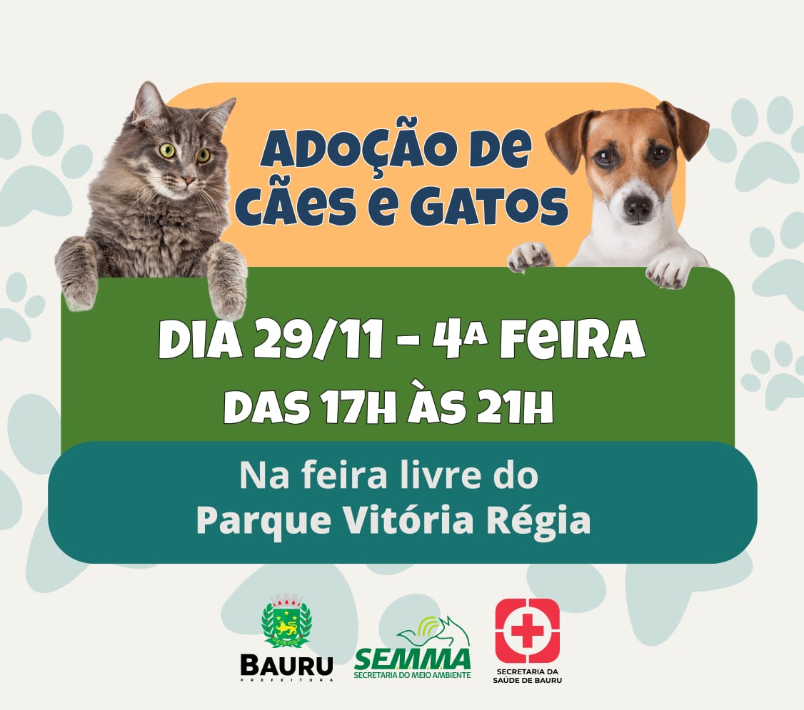 Feira do Parque Vitória Régia tem aula de xadrez e adoção de cães nesta  quarta-feira - 96FM Bauru