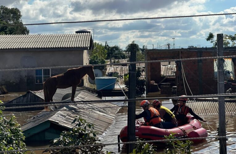 Bombeiros de SP recebem prêmio por resgate do cavalo Caramelo no Rio Grande do Sul