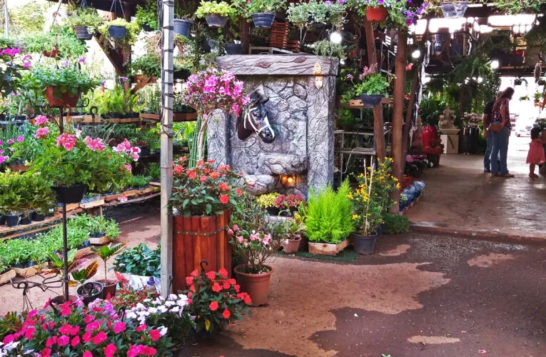 Dia das Mães aquece o comércio florista e Ceagesp Bauru terá horário especial