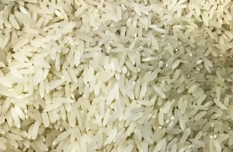 Conab compra 263,3 mil toneladas de arroz importado em leilão