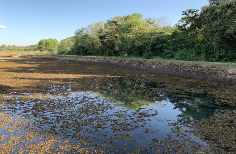 Bauru tem previsão de chuva mas DAE mantém rodízio de água