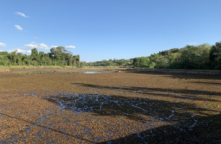 Bauru está há 50 dias em sistema de rodízio de água e há 30 dias sem chuvas