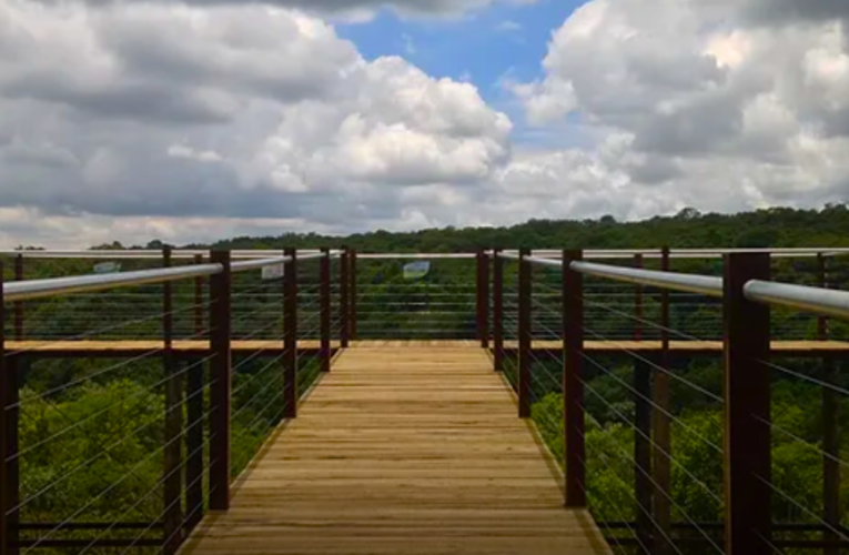 Jardim Botânico e Observatório promovem atividade no alvorecer deste domingo