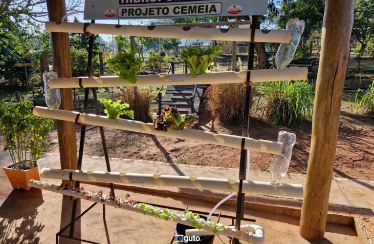 Projeto Cemeia realiza oficina sobre ‘Hidroponia Caseira’