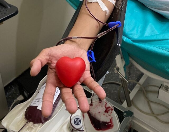 Dia dos Doadores de Sangue: tire dúvidas e confira onde doar em Bauru