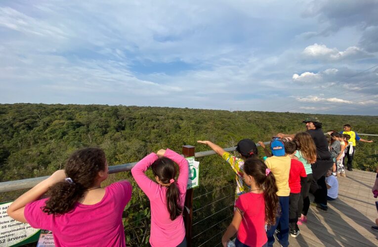 Pré-inscrição para Curso de Férias do Jardim Botânico segue até terça-feira