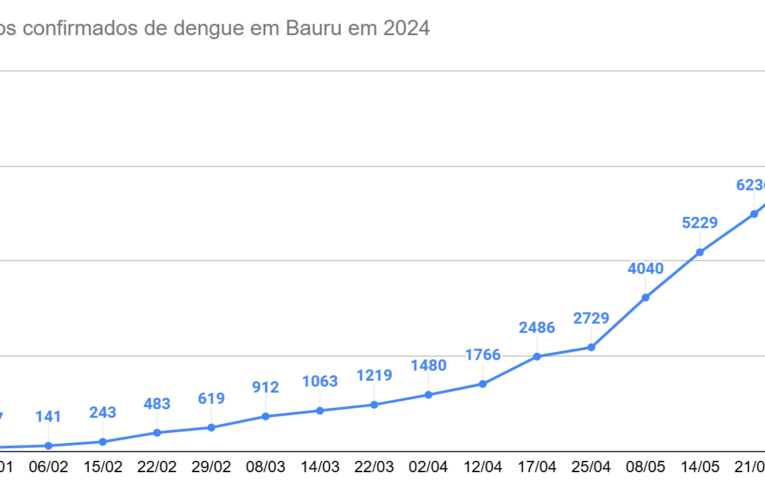 Dengue: Bauru registra 900 novos casos e ultrapassa 9 mil casos confirmados