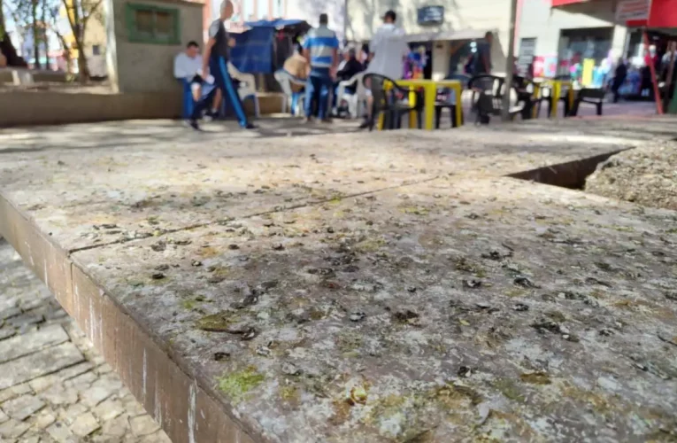 Fezes de pombos na Praça Rui Barbosa trazem risco à saúde