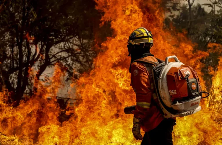 Região de Bauru é atingida por 382 focos de incêndio em dois dias