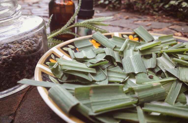 Sesc explora cosméticos naturais, alimentação saudável e cultura underground nesta semana