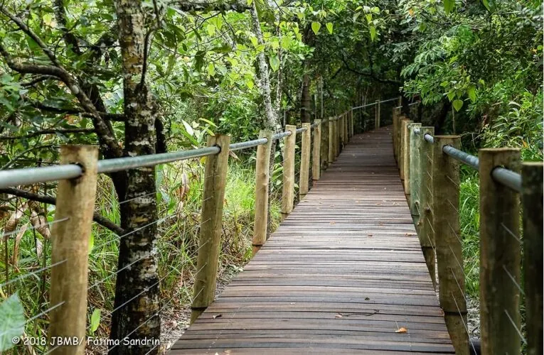 Horto Florestal e Jardim Botânico reabrem as trilhas a partir desta sexta-feira